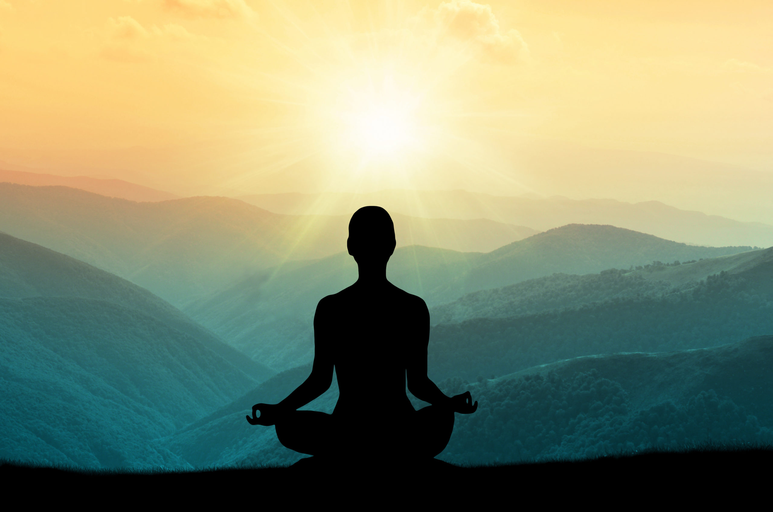 Online Meditation Courses: How Can Nature Help You Get in Shape?